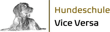 vice-versa_logo.png